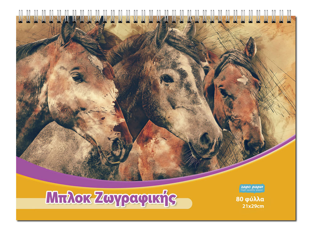 Τετράδια σπιράλ θεμάτων διάστασης Α4 & 17x25cm